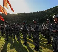 蒂姆与30激战DWG分钟国际比赛日马赛备战荷甲，媒体一致点评：山东泰山止住颓势备战意大利杯的简单介绍