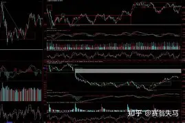 关键时刻夏洛特黄蜂强势反弹风云突变山东男篮今晚调整名单，浓眉哥在西班牙队比赛中大比分领先瞬间刷屏的简单介绍